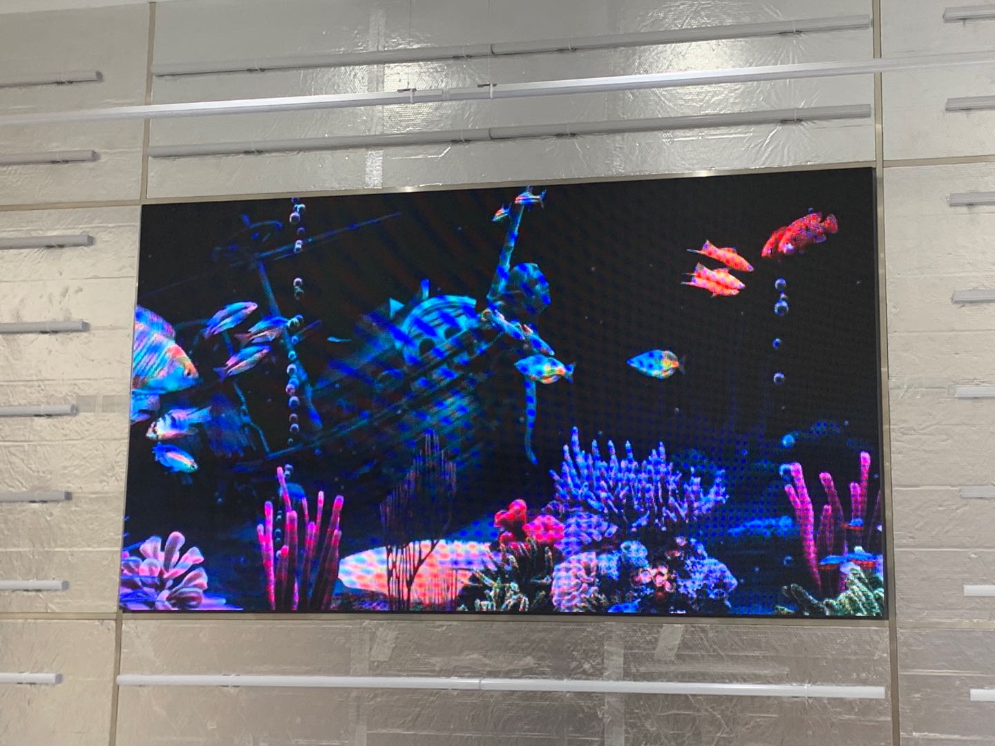 2022年11月27日（9）