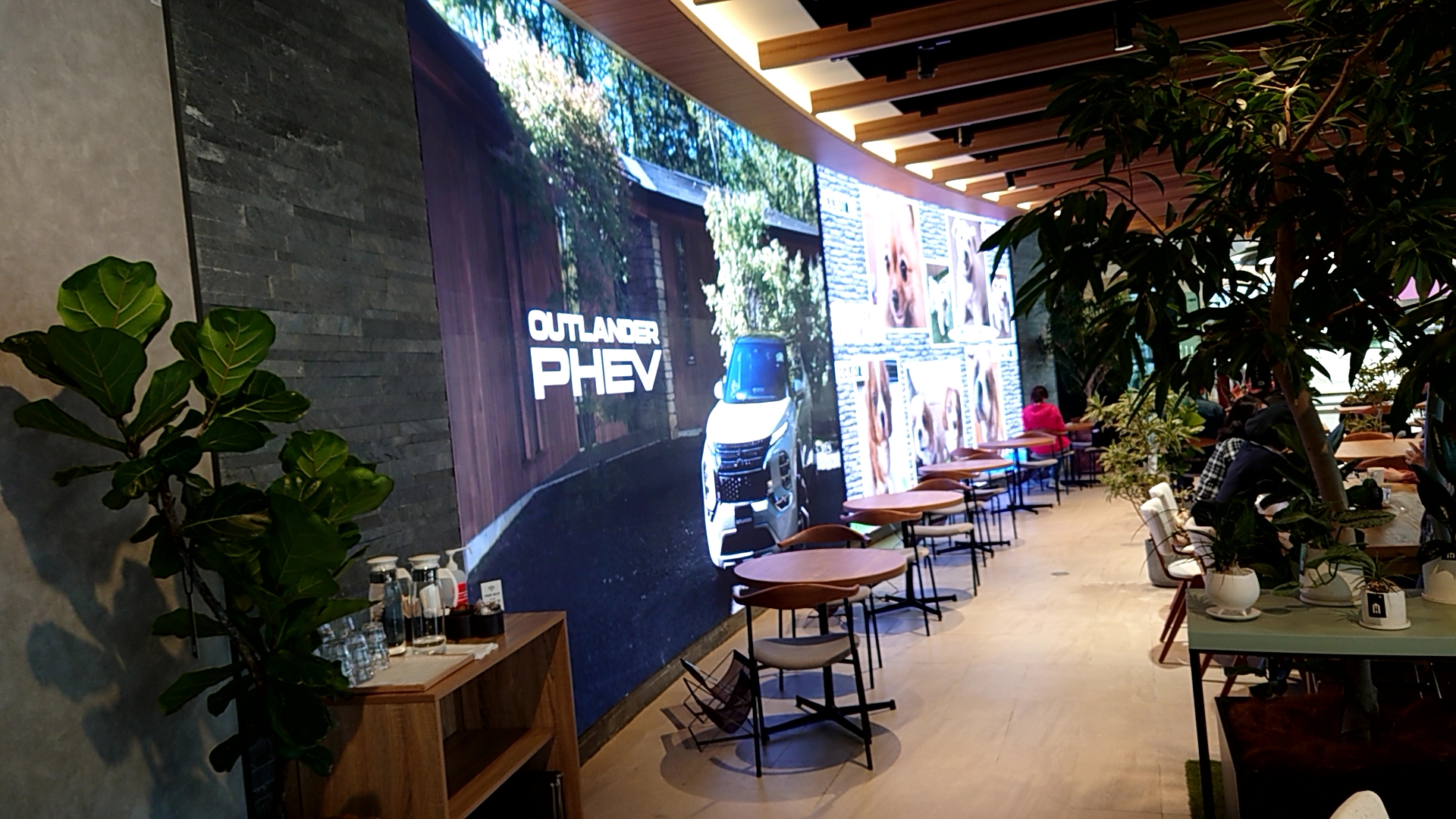 2022年11月27日（11）