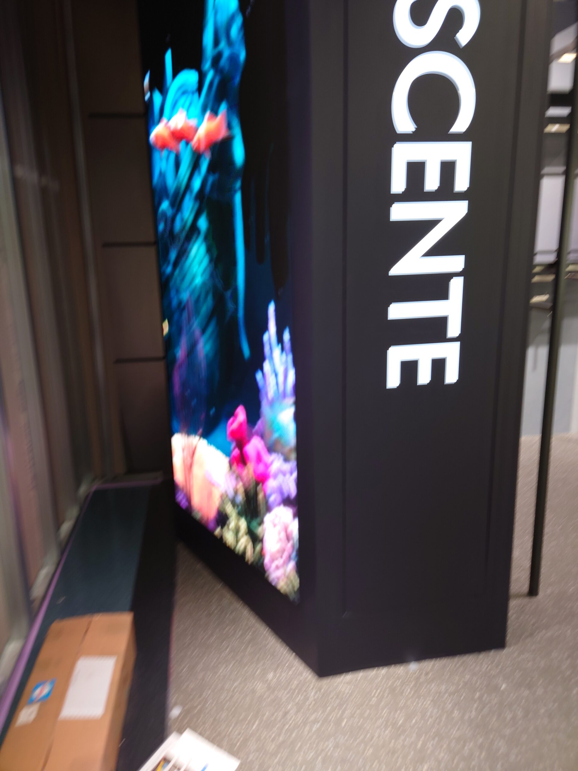 2023年4月12日（1）導入