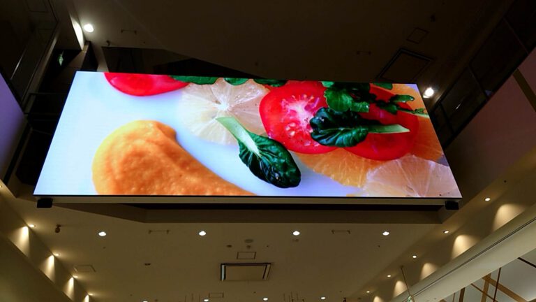 2023年4月12日（6）導入